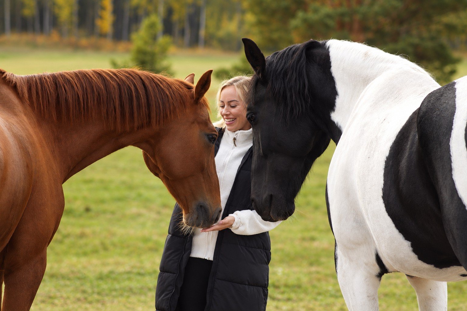 Anriette tillsammans med hästarna på Stallro
